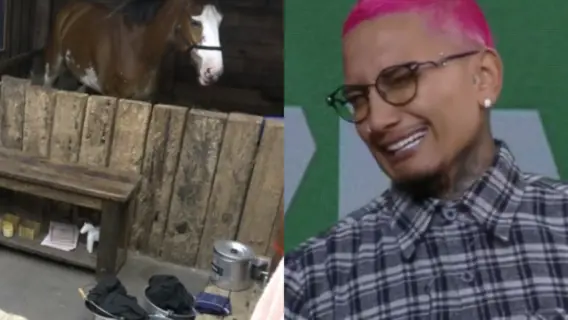 Quem está na baia em a Fazenda 2021? Veja quem levou a pior