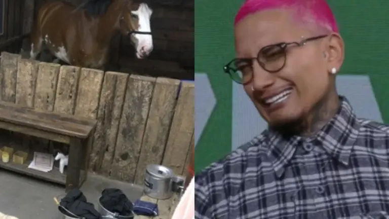 Quem está na baia em a Fazenda 2021? Veja quem levou a pior