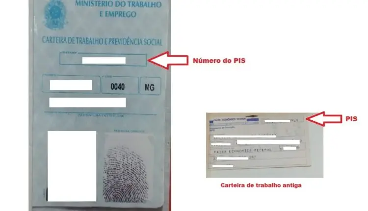 Onde tem o número do pis em carteira de trabalho antiga