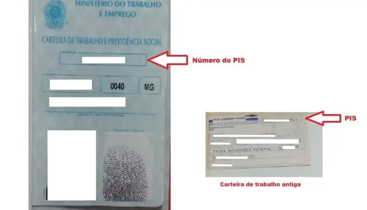 Onde tem o número do PIS em carteira de trabalho antiga