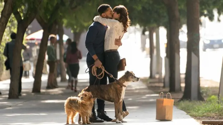 Sessão da Tarde hoje (06/09) vai passar ‘Nossa Vida Com Cães’