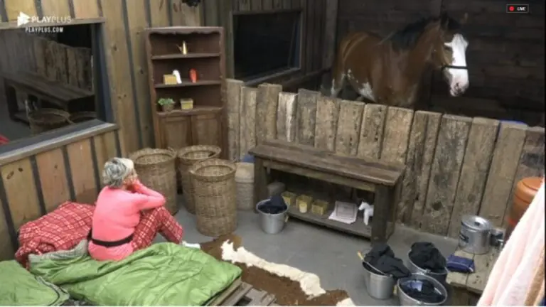 Entenda como funciona a baia em A Fazenda 2021