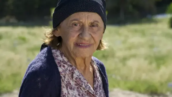 Descubra quem ajudou o filho de Jesuína na novela Império