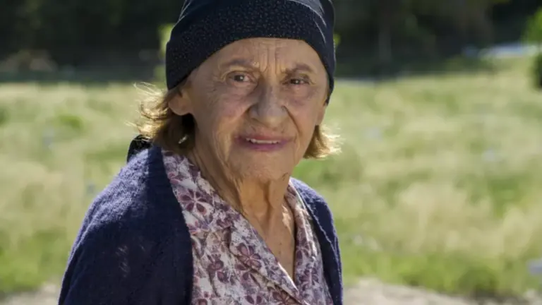 Descubra quem ajudou o filho de Jesuína na novela Império