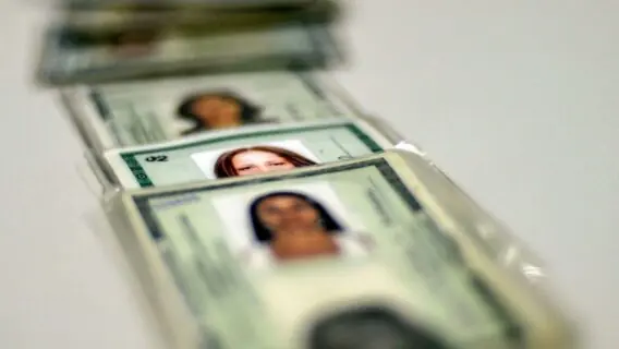 Como tirar RG em São Paulo: Poupatempo realiza mutirão em outubro