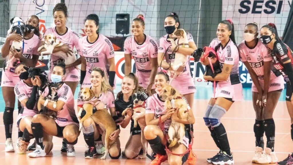Barueri x Sesi Bauru: onde assistir o Paulista de vôlei feminino (09/10) Barueri x Sesi Vôlei Bauru
