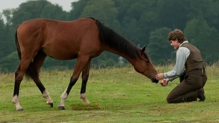 Sessão da Tarde hoje (13/10): Globo vai passar o filme ‘Cavalo De Guerra’