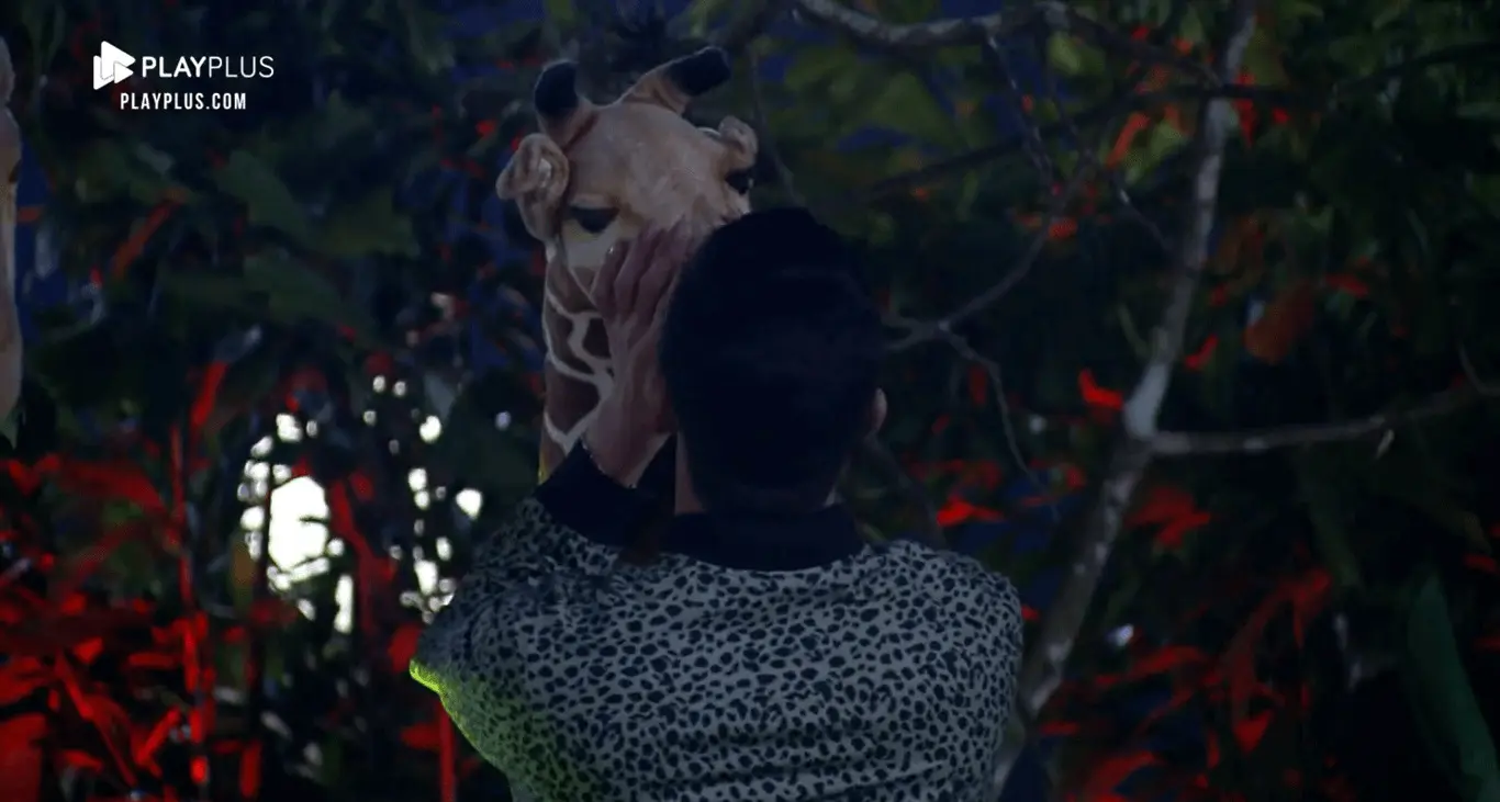 Festa a fazenda 2021