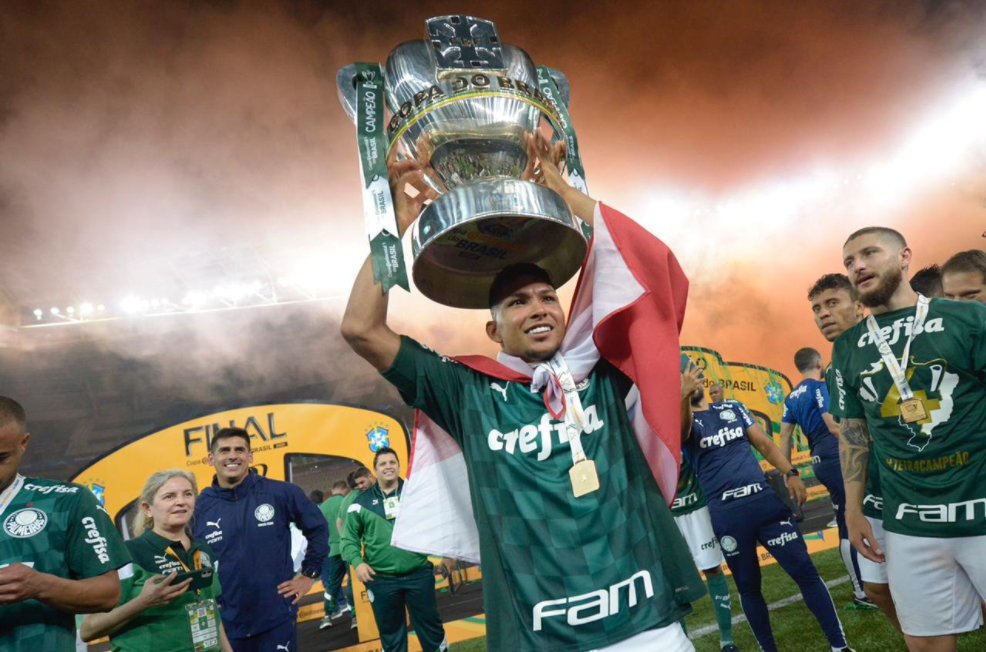 Atual campeão da Copa do Brasil, Palmeiras passou pelo Grêmio na decisão de 2020