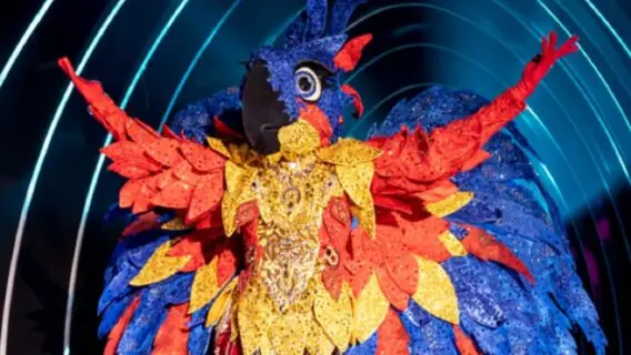 VOTE: quem é a Arara do The Masked Singer?
