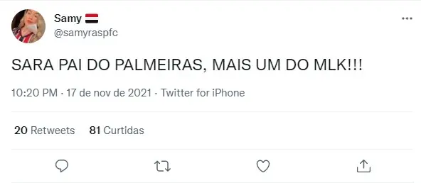 memes do palmeiras