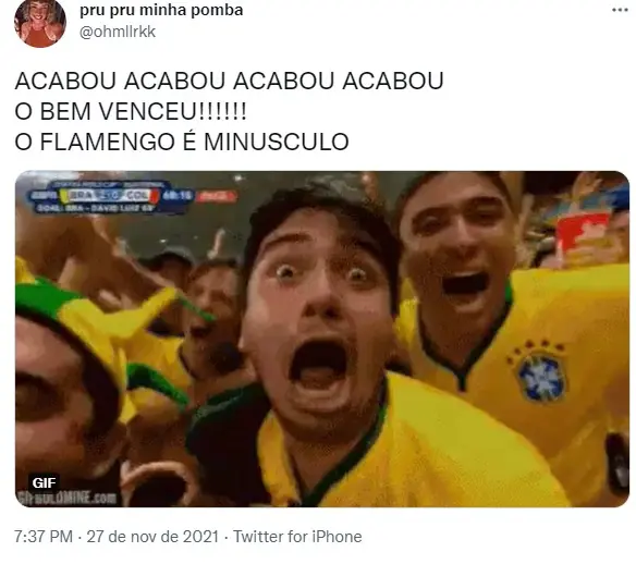 memes do palmeiras campeão da libertadores