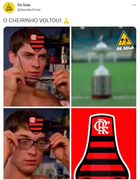 memes do palmeiras campeão da libertadores