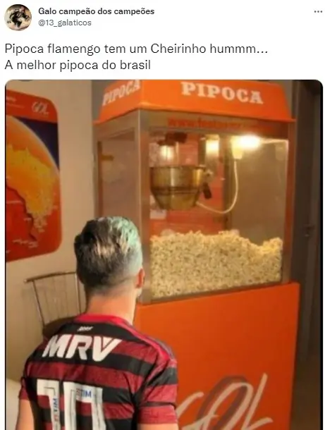 memes do palmeiras campeão da libertadores