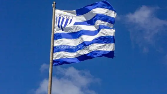 Avaí x Sampaio Corrêa: onde assistir, horário e escalações – 28/11