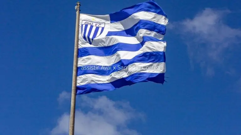 Avaí x Sampaio Corrêa: onde assistir, horário e escalações – 28/11