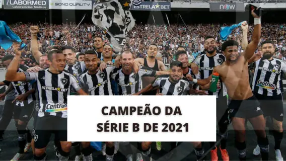 Botafogo é campeão da Série B 2021 e sobe para a elite do Brasileirão