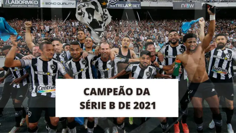 Botafogo é campeão da Série B 2021 e sobe para a elite do Brasileirão
