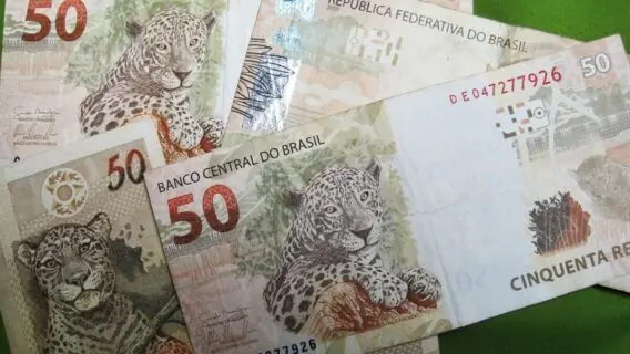 Quanto vou receber de Auxilio Brasil? Veja como consultar