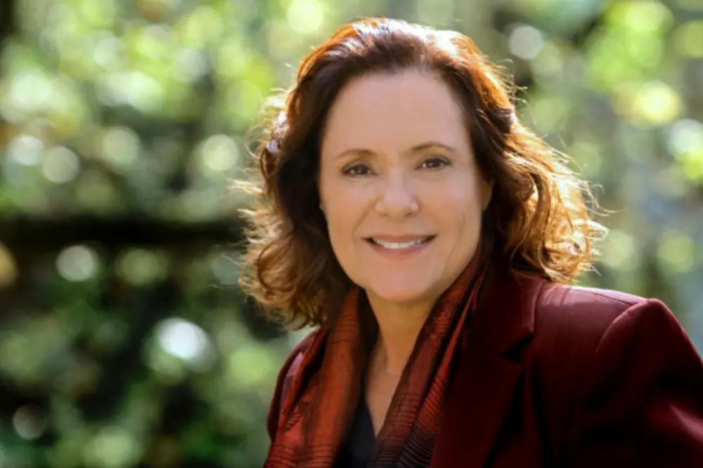 walcyr carrasco brigas