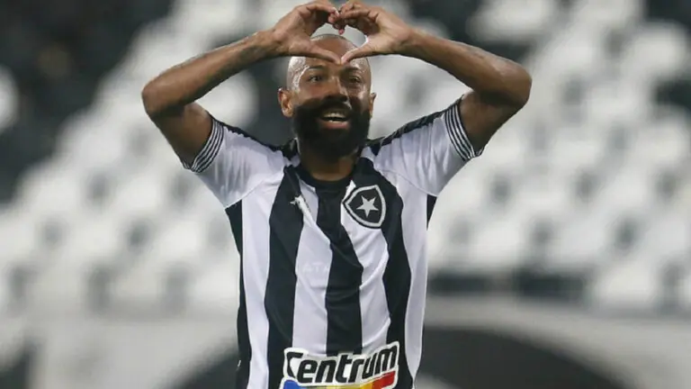 Jogo do Botafogo e Operário-PR hoje AO VIVO e horário (15/11)