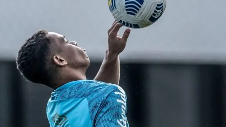 Jogos de hoje Brasileirão: horários e onde assistir no domingo (7/11)