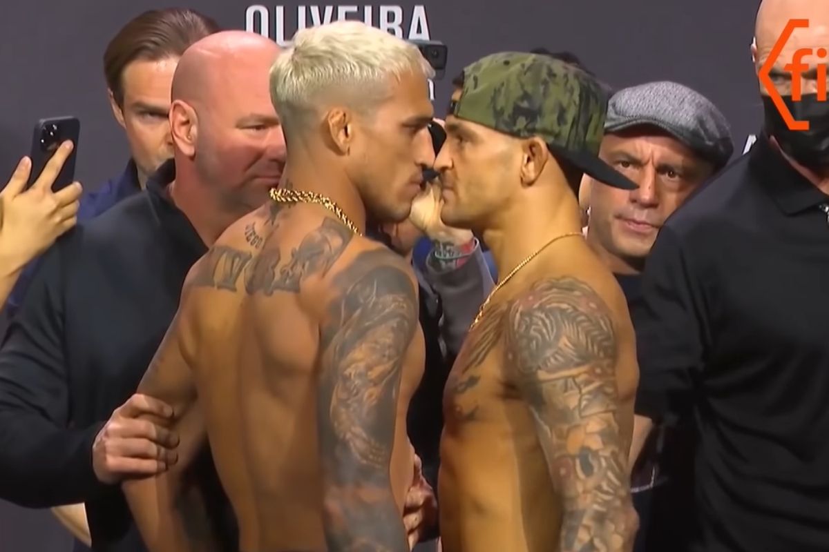 UFC hoje