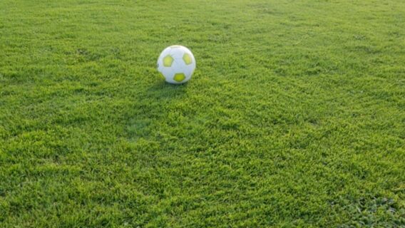 Jogos de hoje na TV: onde assistir futebol ao vivo nesta quinta – 20/01/22