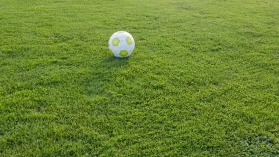 Jogos de hoje na TV: onde assistir futebol ao vivo nesta quinta – 20/01/22