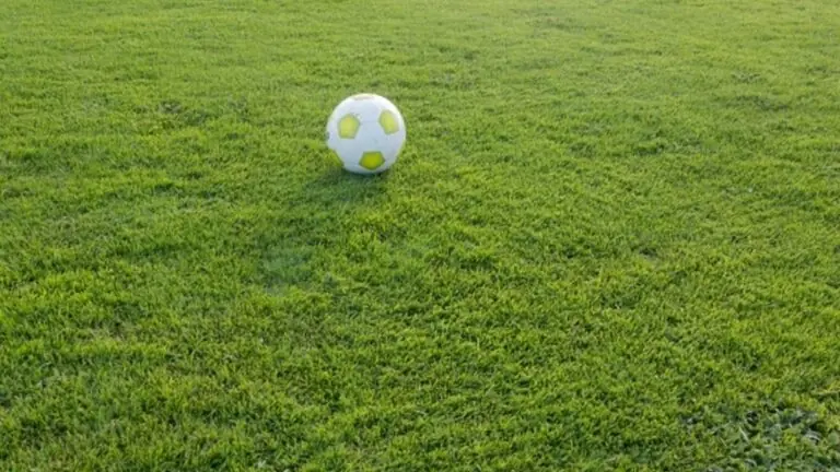 Jogos de hoje na TV: onde assistir futebol ao vivo nesta quinta – 20/01/22