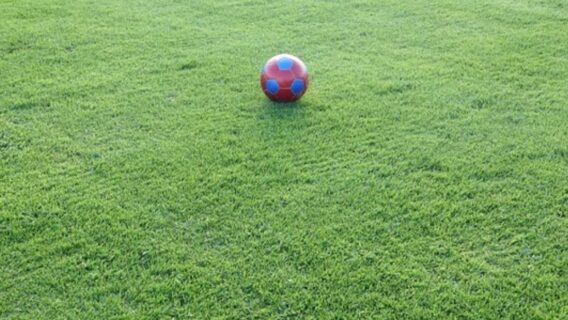 Jogos de hoje na TV: onde assistir futebol ao vivo neste domingo – 30/01