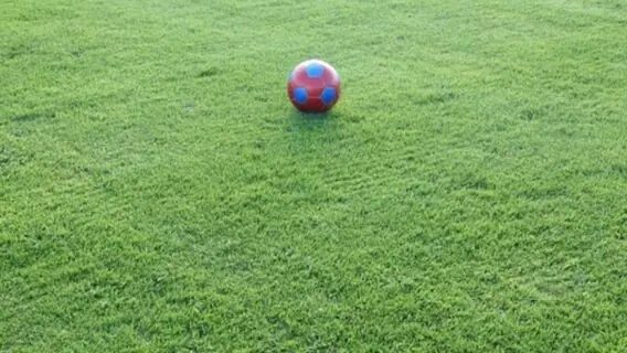 Jogos de hoje na TV: onde assistir futebol ao vivo neste domingo – 30/01