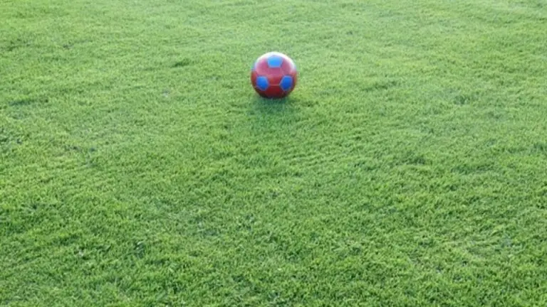 Jogos de hoje na TV: onde assistir futebol ao vivo neste domingo – 30/01