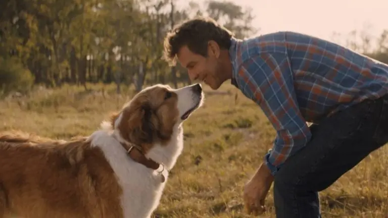Tela Quente hoje (03/01) vai passar a comédia ‘Juntos para Sempre’