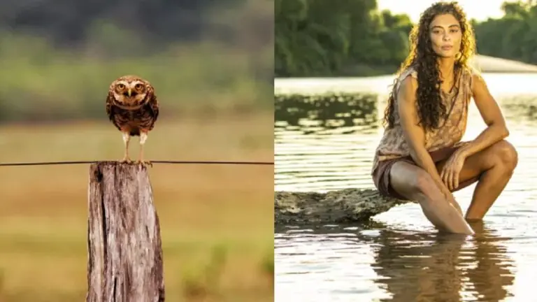 Onde foi gravada Pantanal: novela se passa em Mato Grosso do Sul