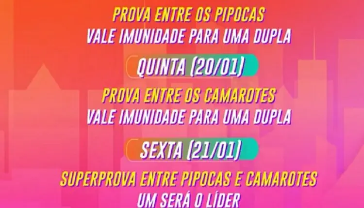 programação