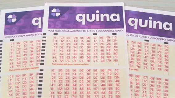 Quina 5763: prêmio acumula em R$ 3 milhões no próximo concurso