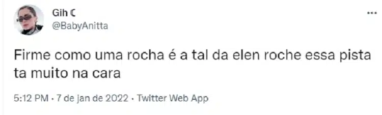 sobre ellen roche no bbb 22