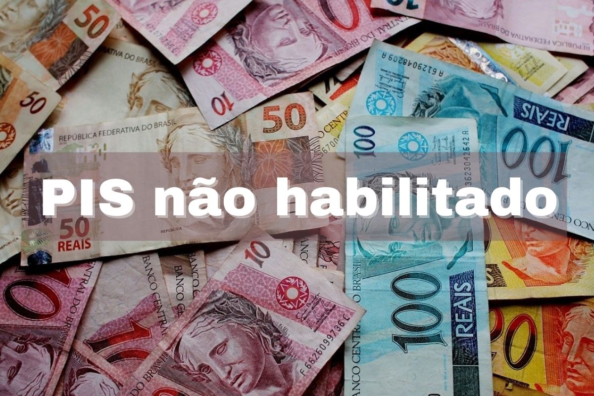PIS não habilitado como resolver