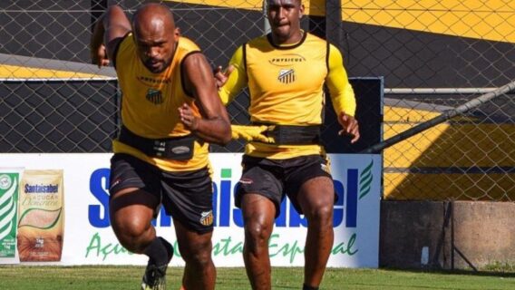 Santo André x Novorizontino: onde assistir e horário do Paulistão – 15/02