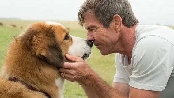 Sessão da Tarde da semana: filmes de 21/2 a 25/2