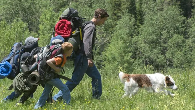 Sessão da tarde hoje (18/2) vai passar Uma Aventura E Tanto