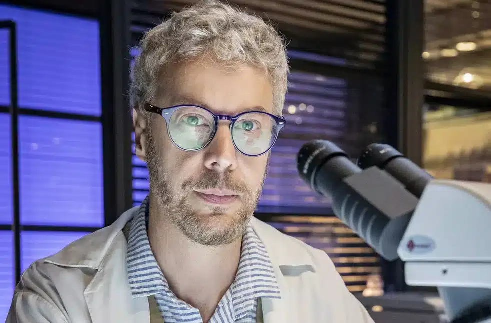 cara e coragem novela elenco