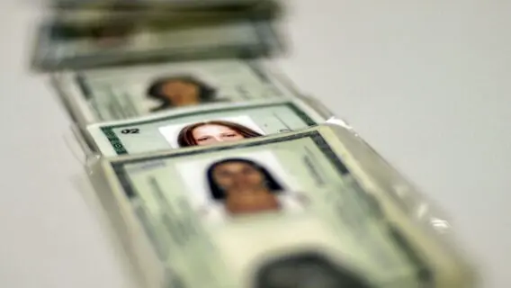 Nova carteira de identidade nacional 2022: conheça o RG