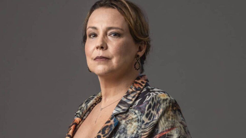 Ana Beatriz Nogueira novelas