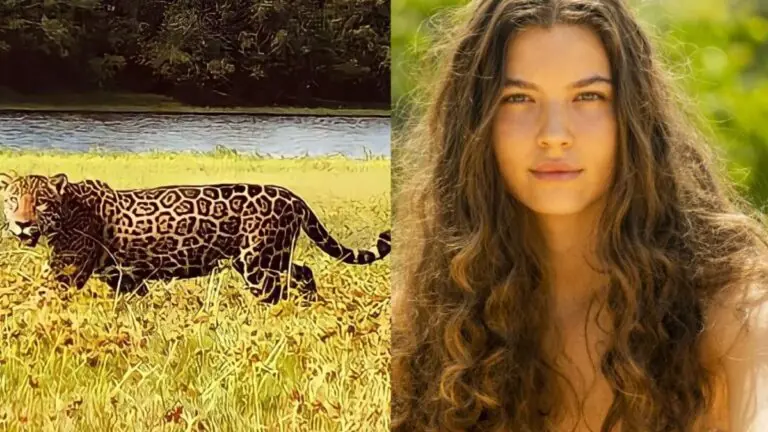 Conheça a Matí, a onça que Juma se transforma na novela Pantanal