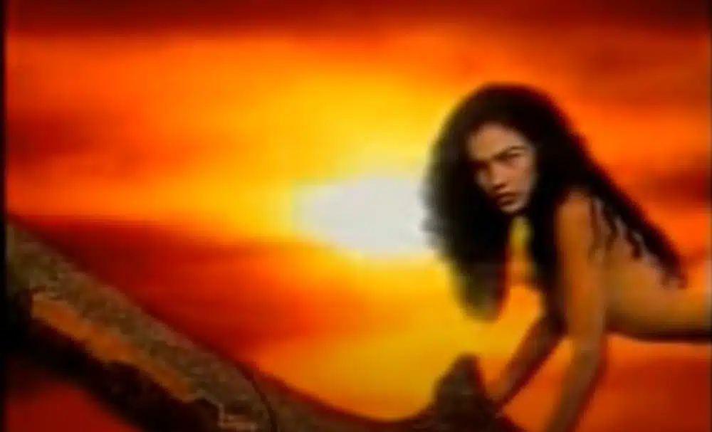 Curiosidades da novela Pantanal