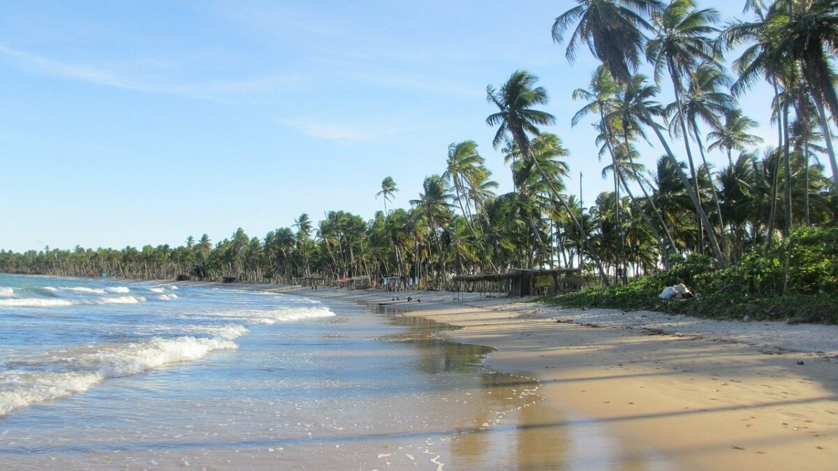 festival de inverno Bahia 2022 atrações