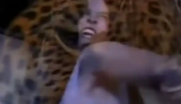 quem vira onça em pantanal