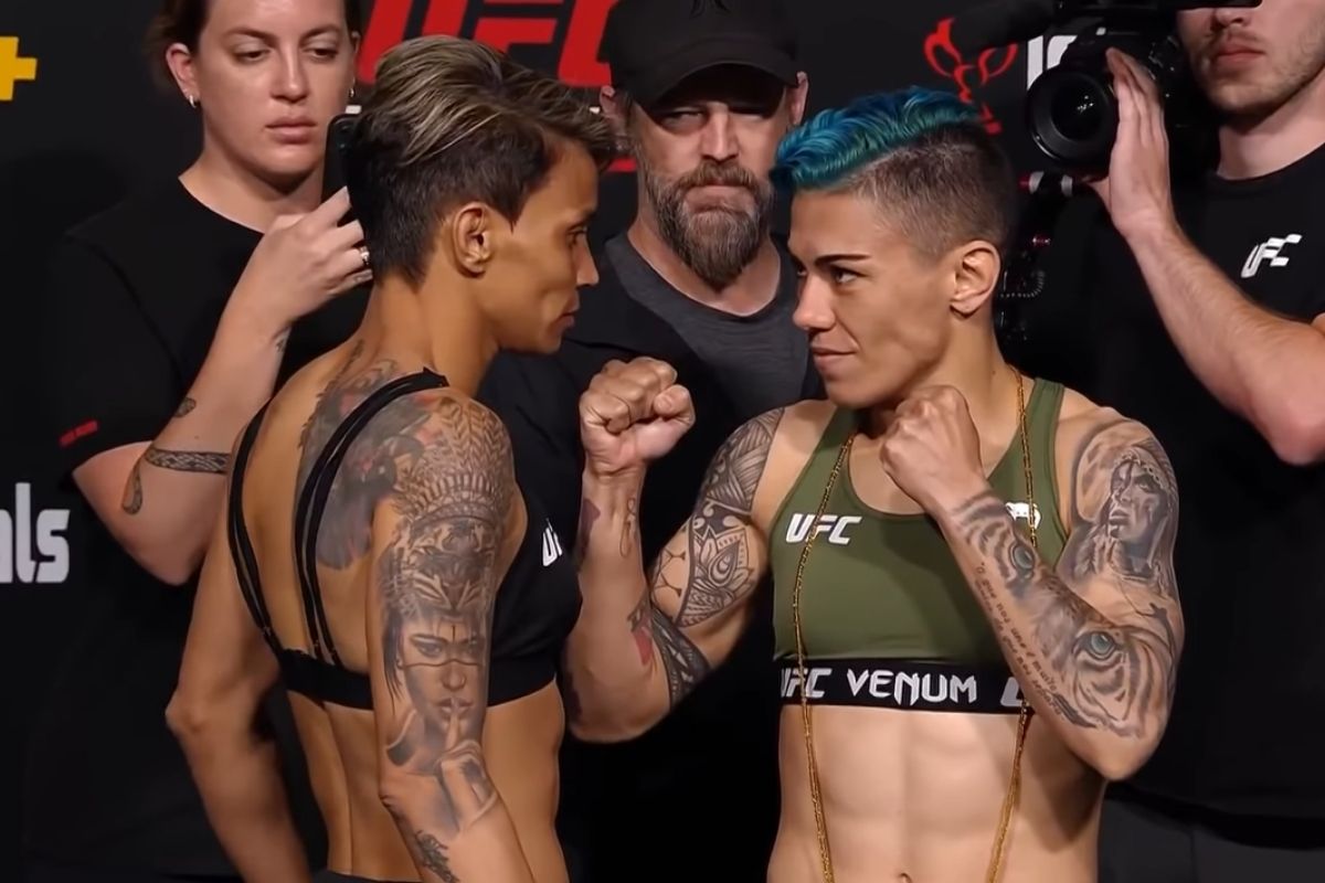 UFC hoje